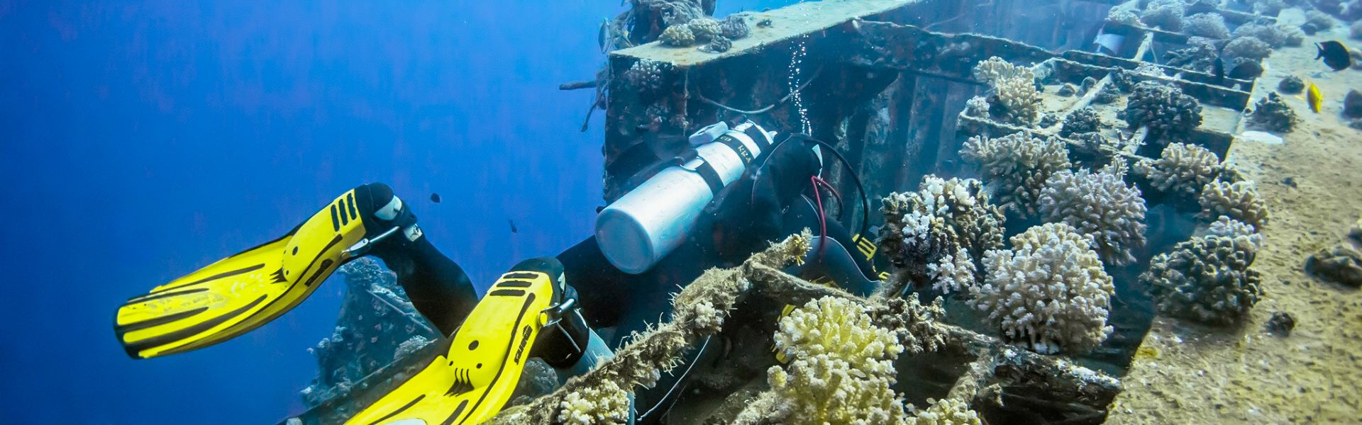 Wreck Diving In Egypt ; Safaga & Marsa Alam